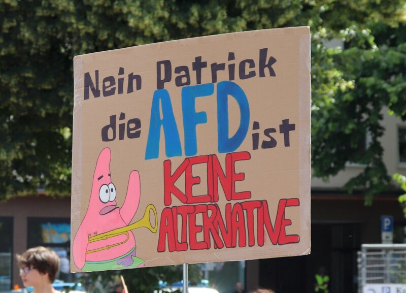 AfD Protest, Afd keine Alternative